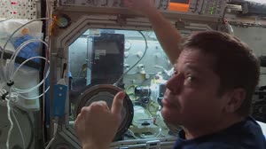 Space to Ground: #BecauseScience: 07/31/2020